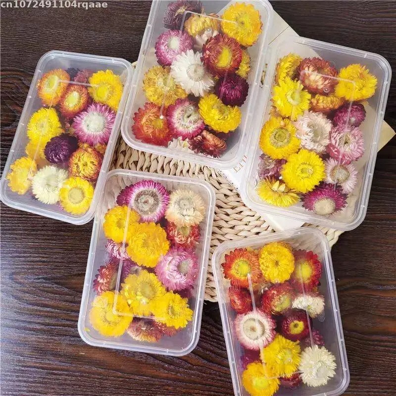 100% Bunga Kering Alami Bracte - Soap Making Material Wholesale ulasan dan harga
